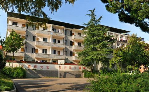 2020年卫校录取分数线